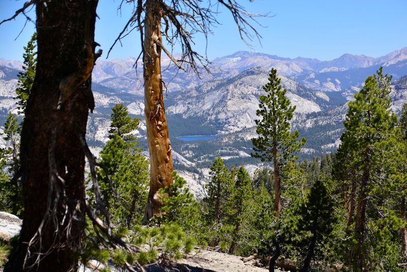 Backcountry Camping Near Clouds Rest