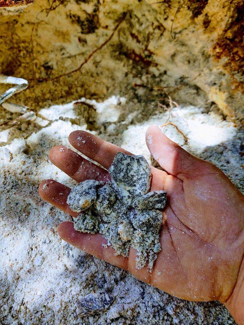 Consistently Positive Visitor Reviews