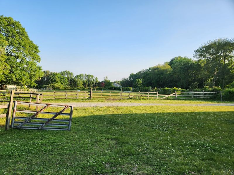 Wildlife And Nature Walks At Winter Brook Farm
