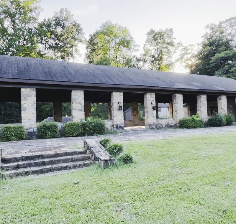 Scenic Picnic Areas Perfect for Families