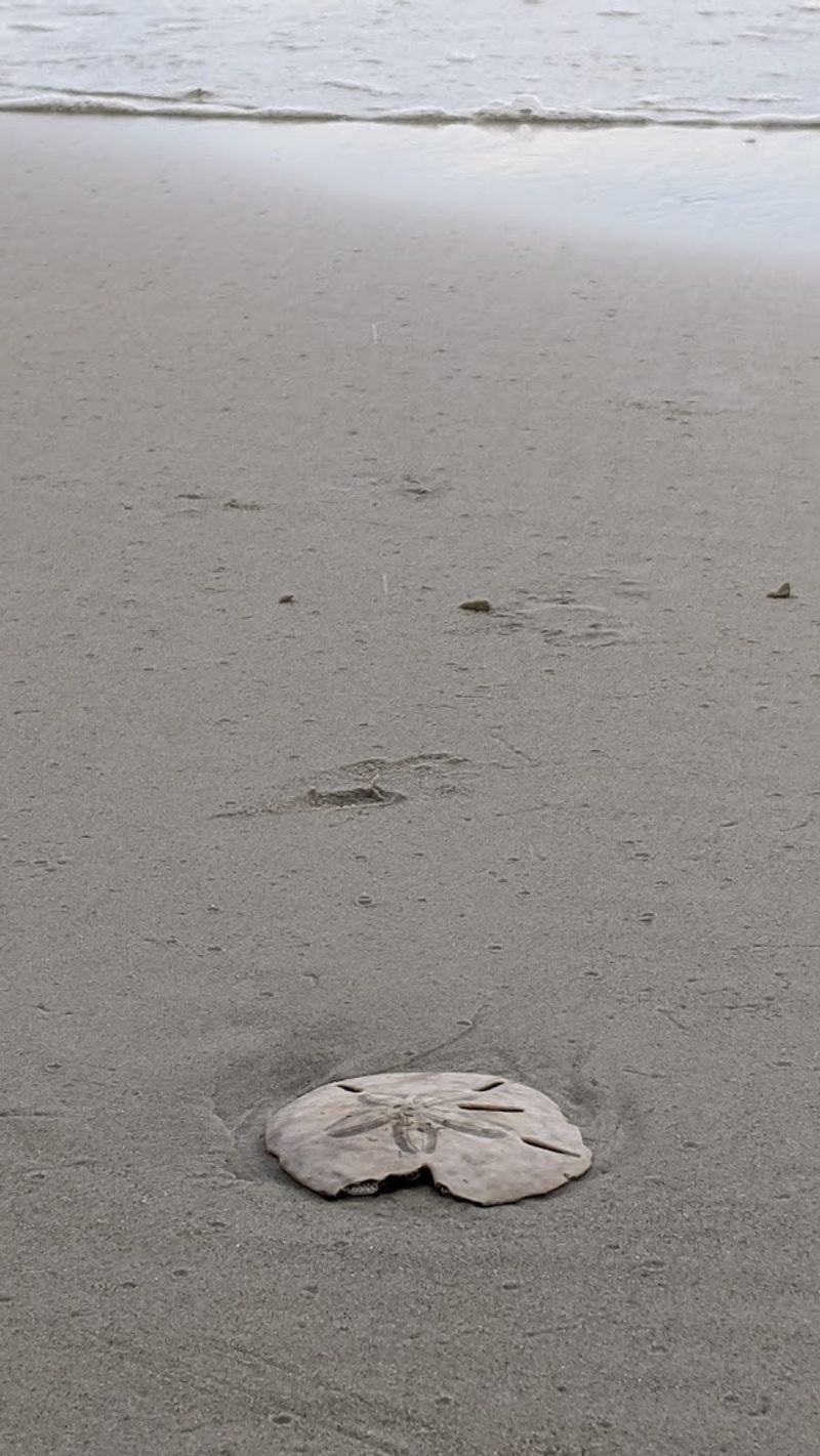 Birdwatching That Rivals Dedicated Wildlife Refuges