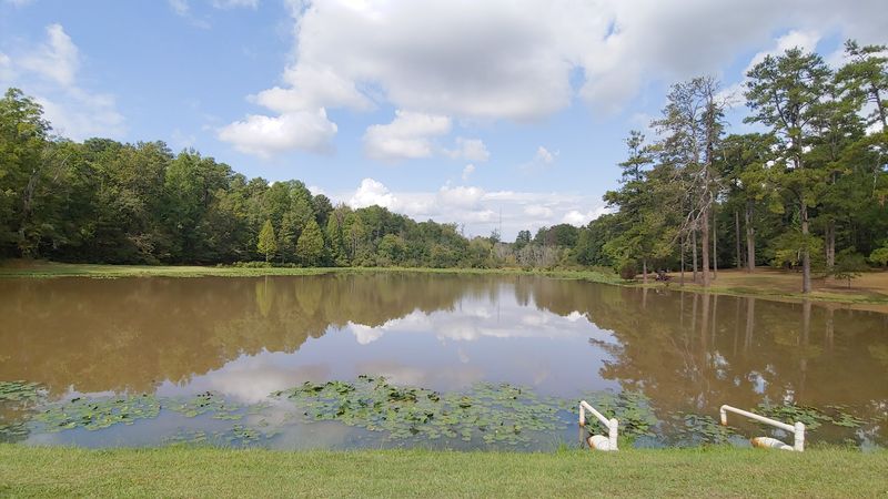 These Streets In A Georgia Town Look Straight Out Of A Hollywood Film - Decor Hint Marimac Lakes