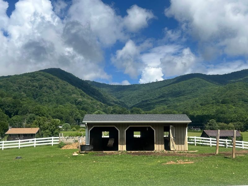 Winchester Creek Farm, Waynesville