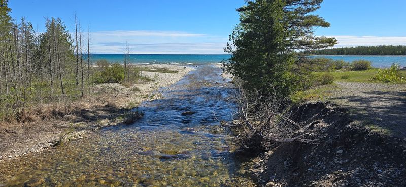 Fossil Hunting Along The Rocky Beach