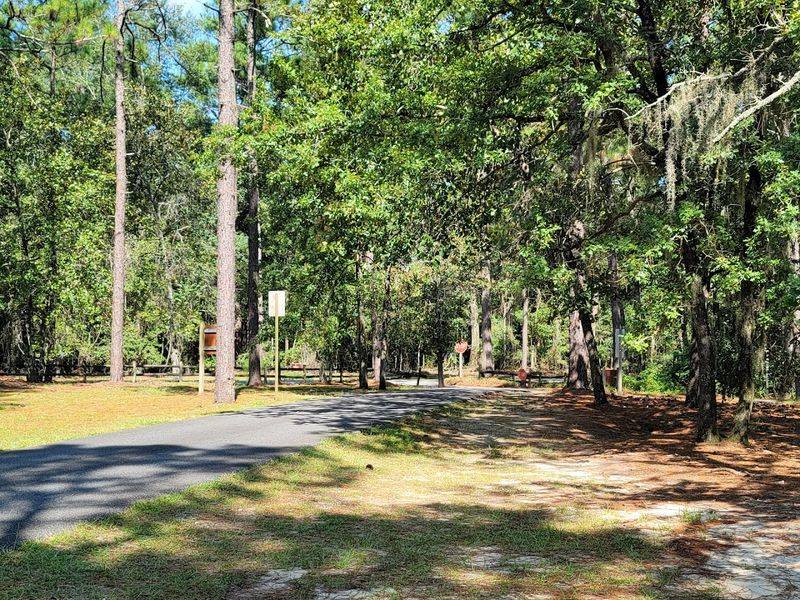This Georgia Swamp Feels Like A Mirror-Covered Cypress Escape - Decor Hint Lakeside Camping and Cozy Cottages