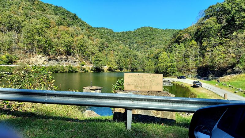 Nearby forest wonders