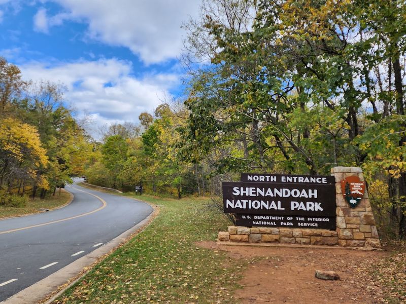 Shenandoah