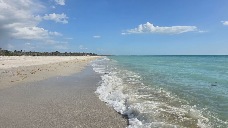 Cayo Costa State Park, Lee County