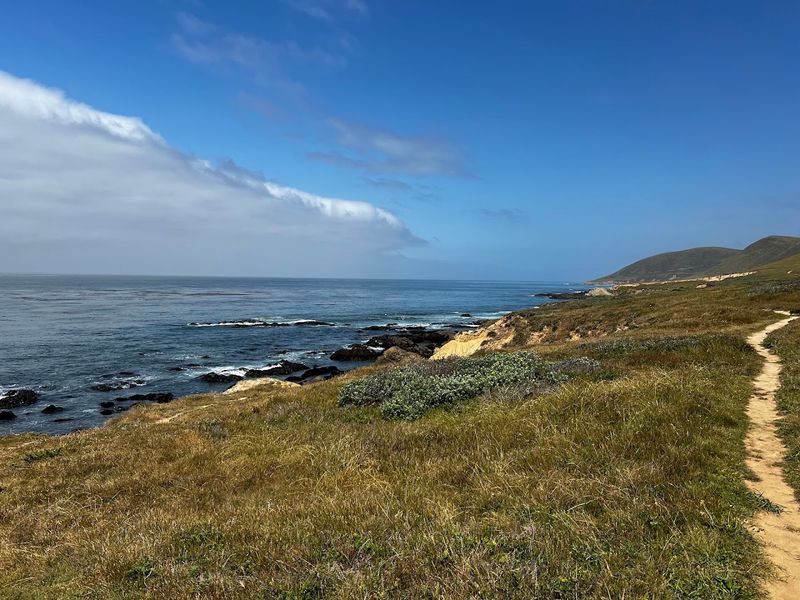Peaceful Coastal Bluff Scenery