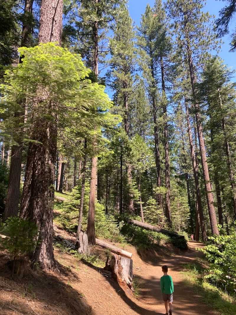 This California Bike And Hike Trail Has Scenic Overlooks Worth The Climb - Decor Hint Multiple Trailheads Mean Multiple Experiences