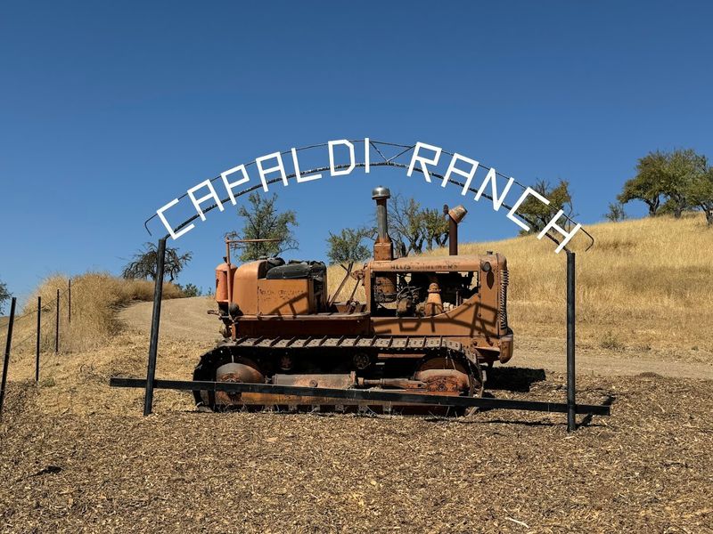 Capaldi Ranch, Paso Robles