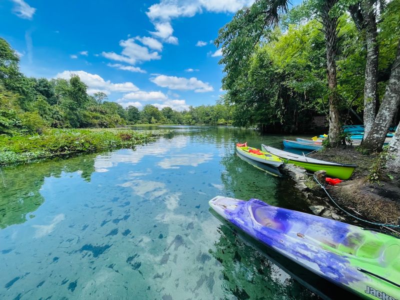 Wekiwa Springs State Park
