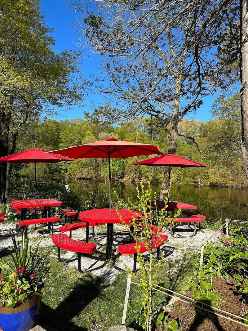 Why This Tiny Diner Feels Timeless