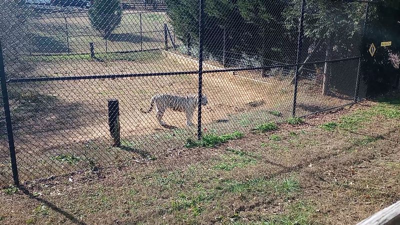 A memorable stop for animal lovers