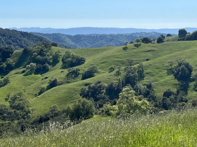Henry W. Coe State Park