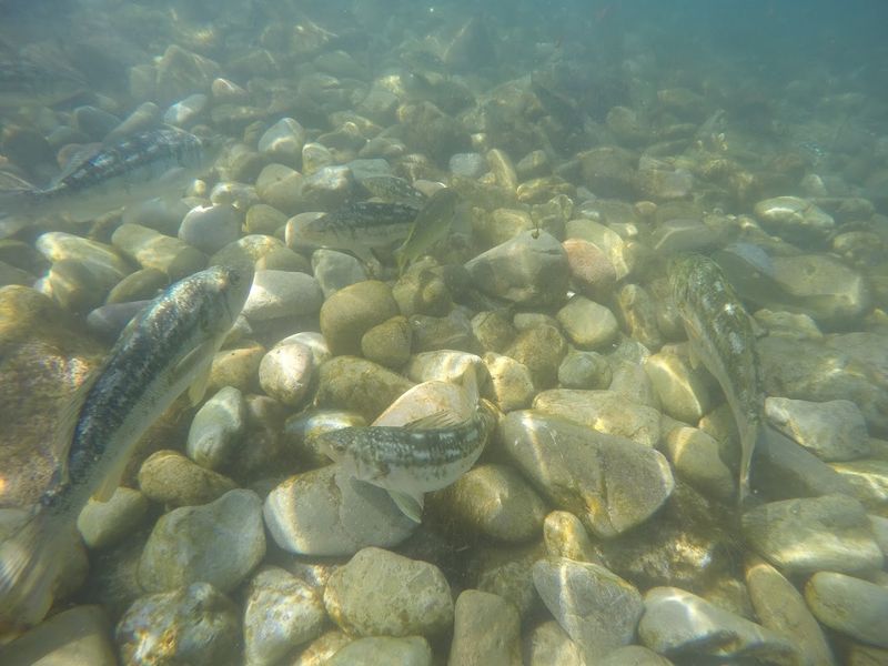This Rocky Cove With A Tiny, Narrow Beach Is A Popular Snorkeling And Diving Destination - Decor Hint Water Clarity Is Central To The Whole Experience