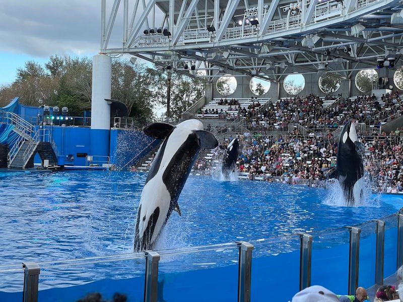 SeaWorld San Antonio