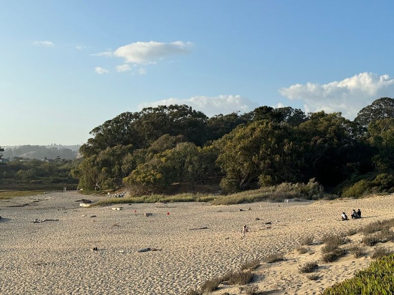The Varied Setting Is a Big Part of Why This Beach Feels Richer Than Most