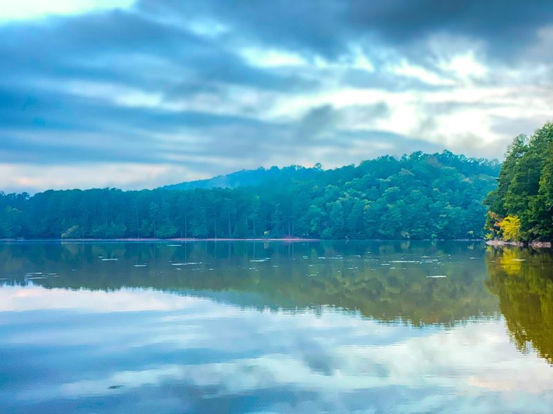 Scenic Views of Lake Allatoona and Hardwood Forests