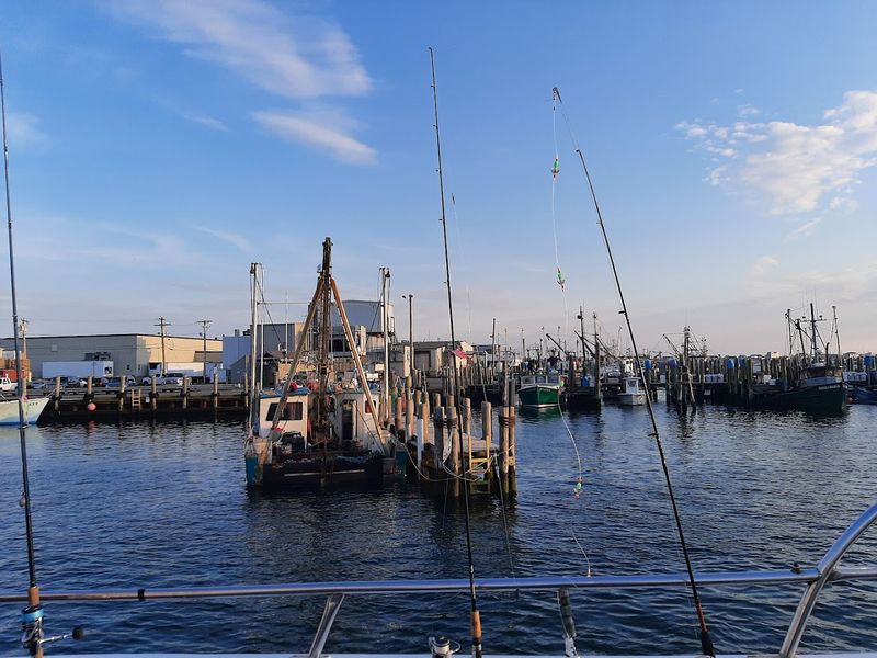 Watching The Fishing Fleet