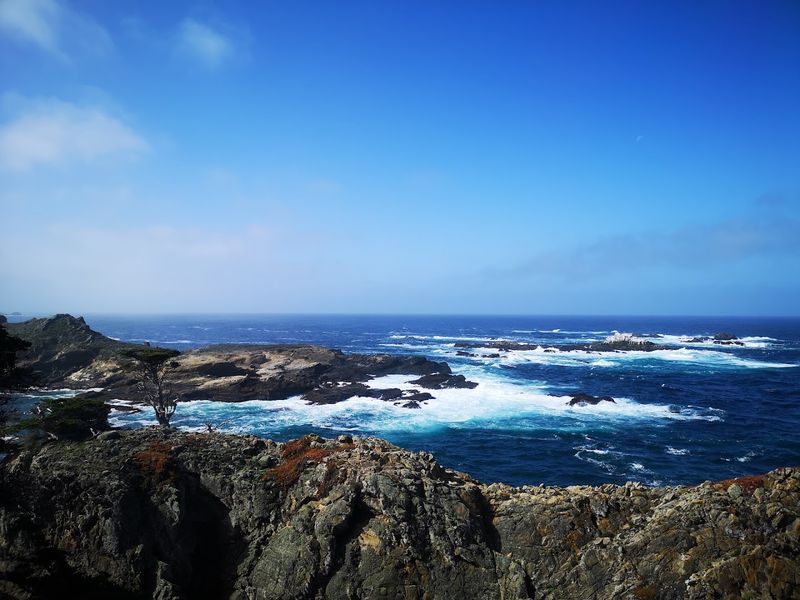 Cypress Grove Trail, Point Lobos State Natural Reserve, Carmel