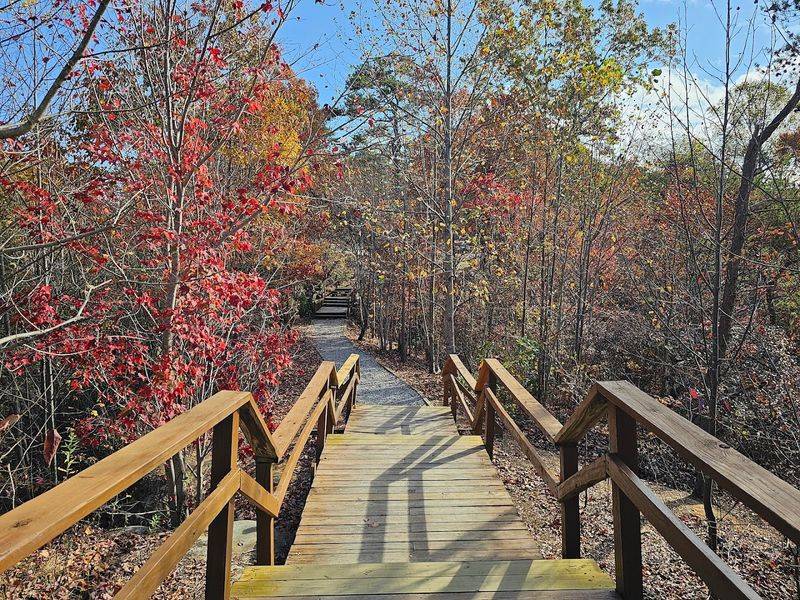 The Fall Foliage Here Is Spectacular