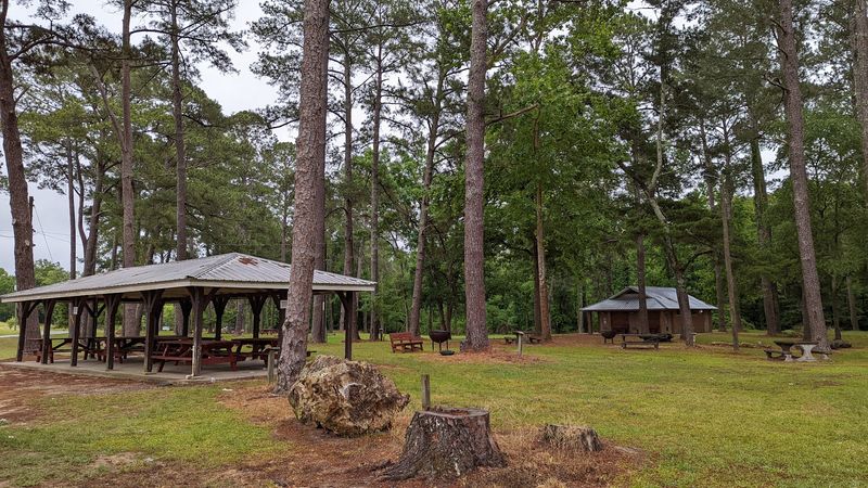 Mile Branch Park for Family-Friendly Outdoor Fun