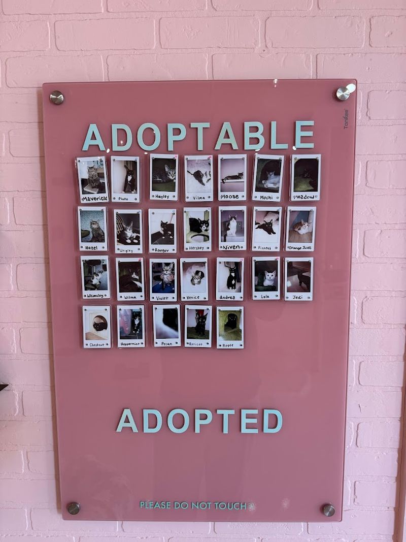 How The Adoption Process Actually Works