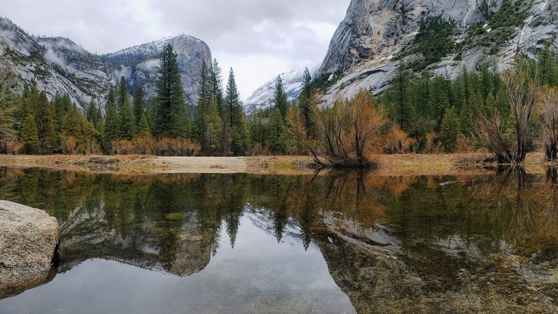 Late Summer Transforms The Lake Into A Peaceful Meadow