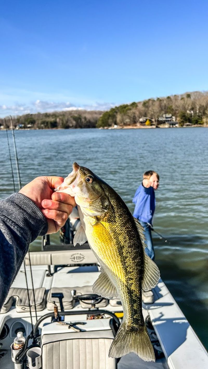 Why Turtlehead Charters Stands Out On Lake Norman