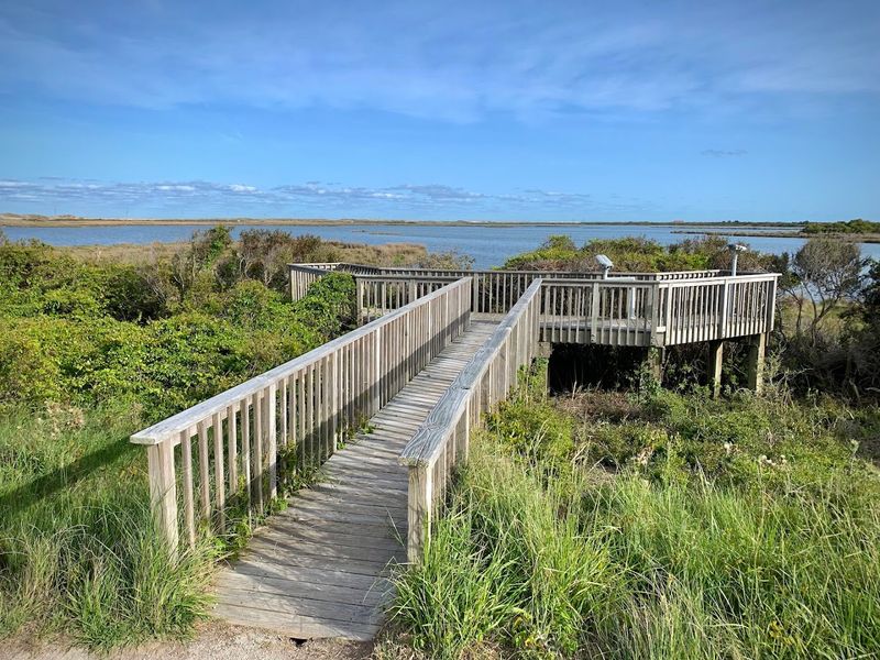 Planning Your Refuge Visit