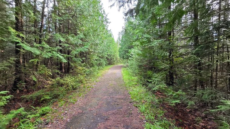 Birdwatching Across A Diverse Lakeshore Habitat