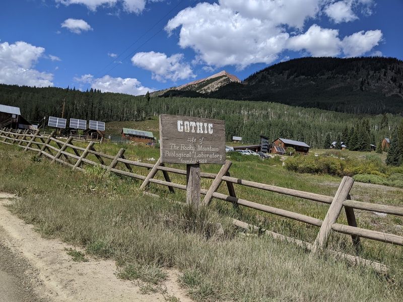 Gothic, Gunnison County