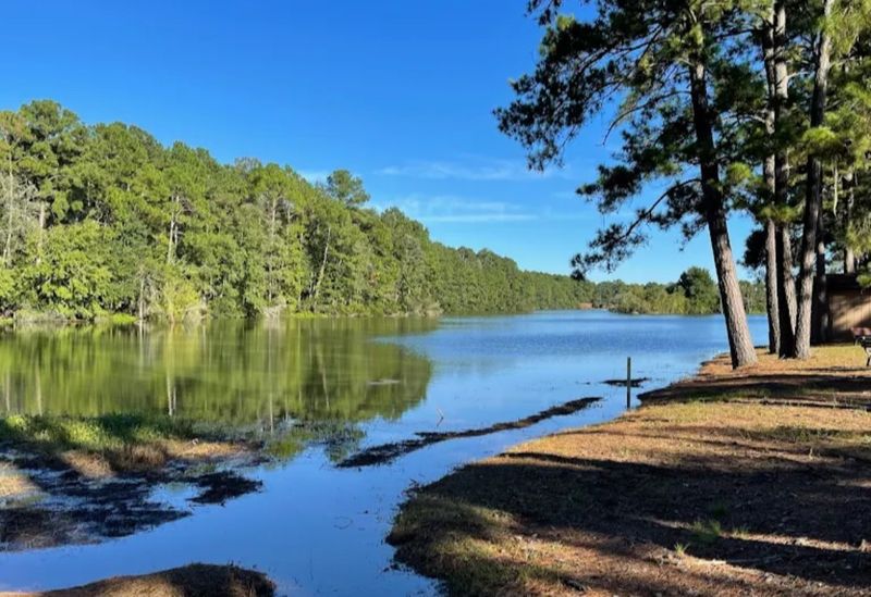 This List Of 16 Georgia Campgrounds Comes With Incredible Coastal Scenery - Decor Hint Savannah South KOA Holiday