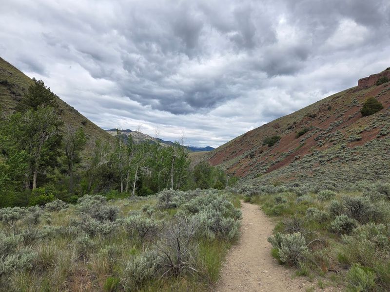 Goldbug Hot Springs Trail