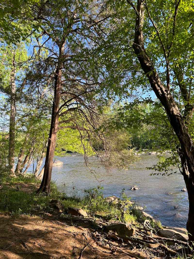Wildflower Season On The Riverbanks