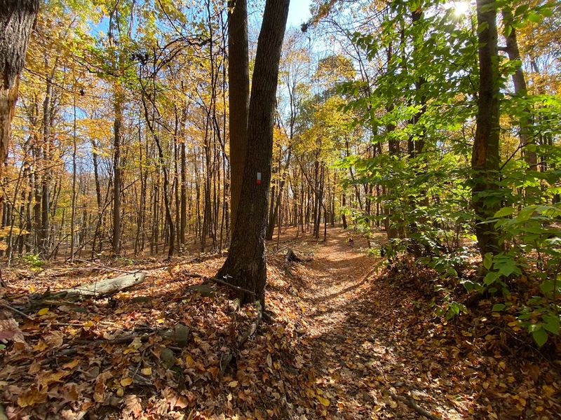 Ragged Mountain Trail, Berlin