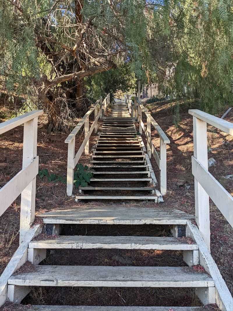 196 Historic Wooden Steps
