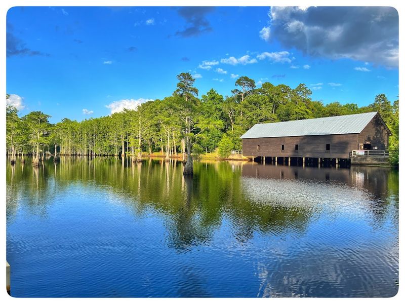 George L. Smith State Park