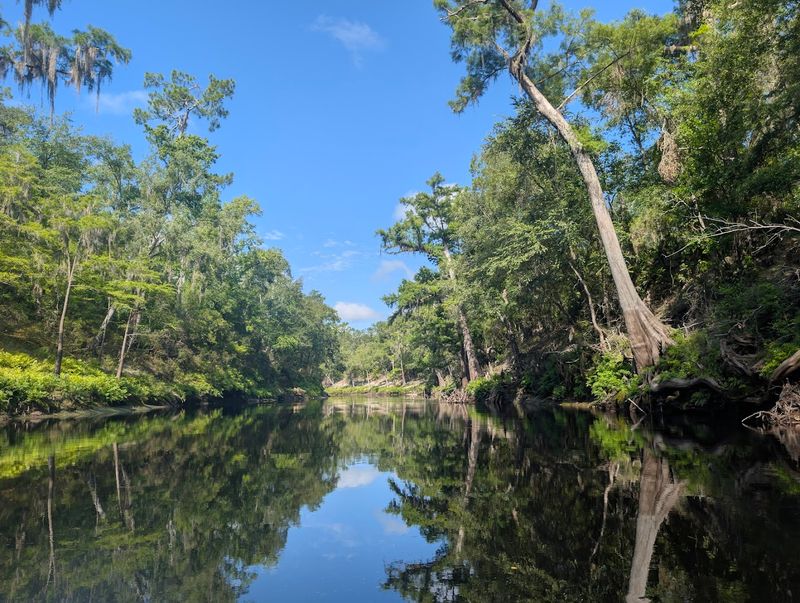The Suwannee River View