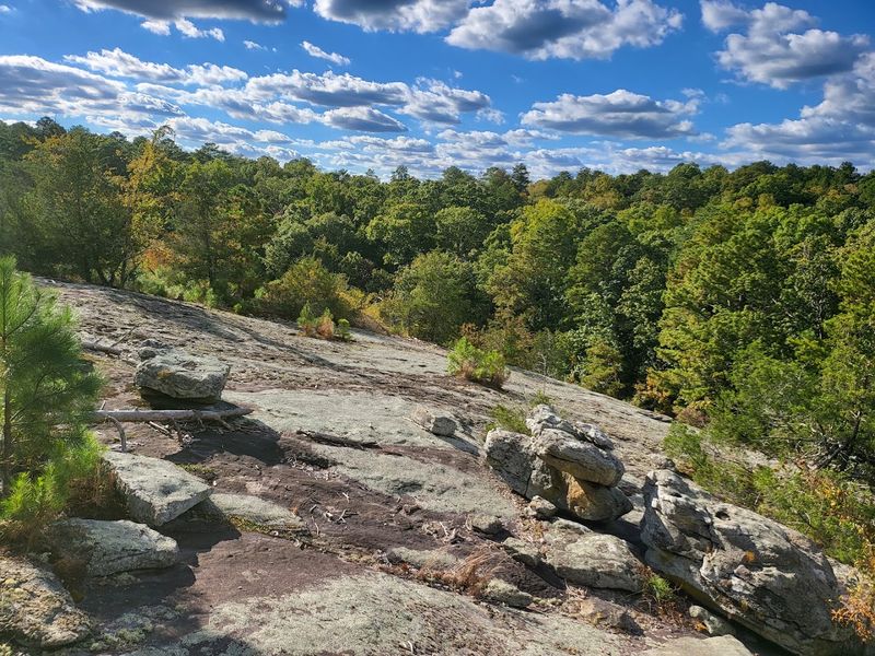 Panola Mountain State Park Watershed Trail