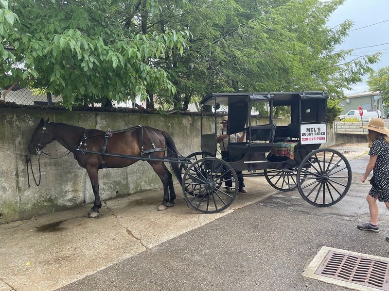 10 Unspoken Rules In Ohio Amish Towns That Visitors Keep Ignoring - Decor Hint Blinding Buggies With High Beams