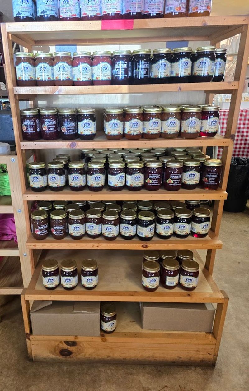 Reliable Quality That Never Disappoints