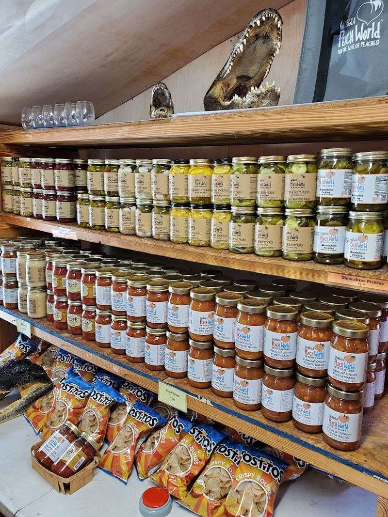 Every Shelf Holds A New Obsession