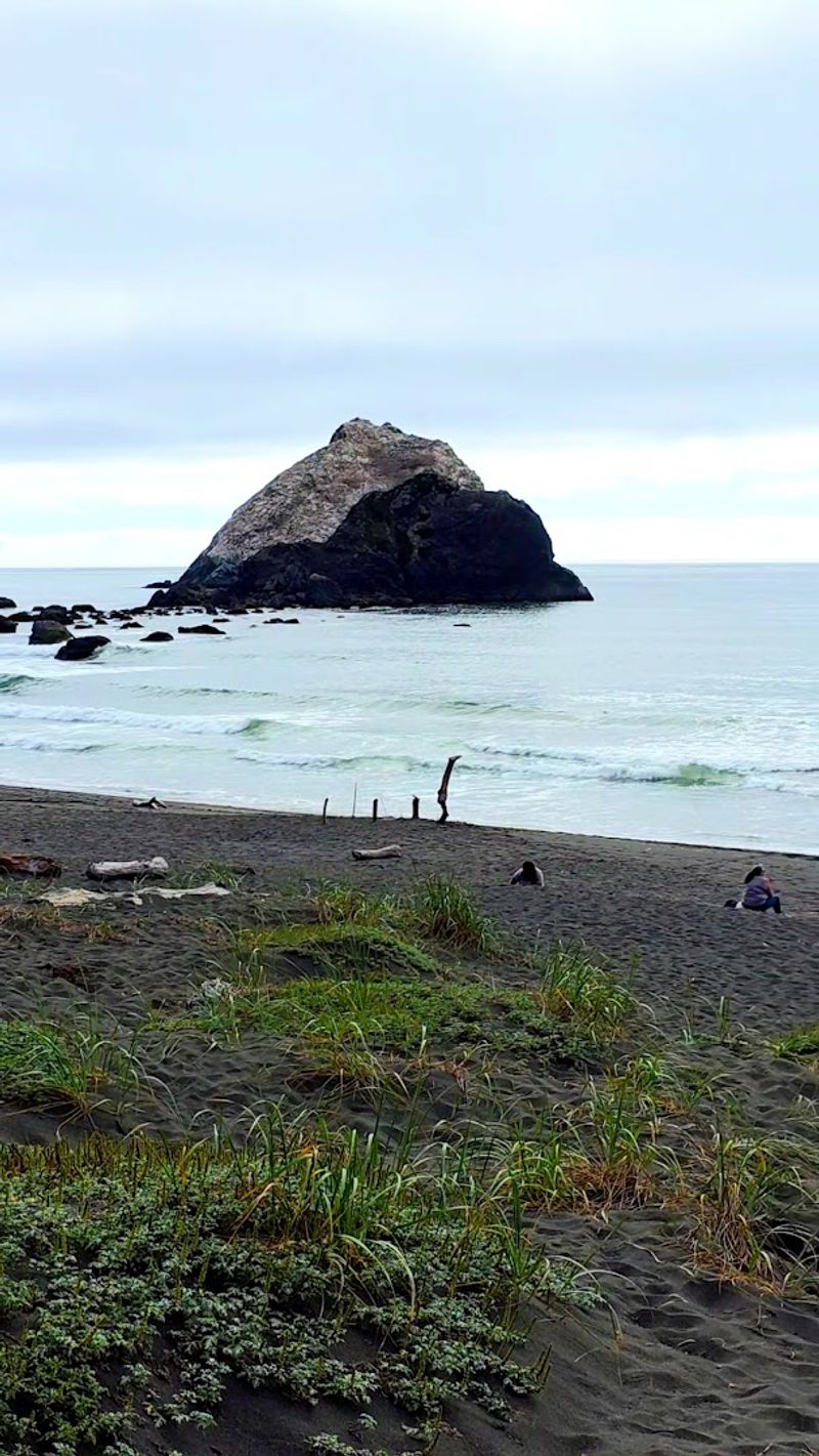 10 California Beaches Where The Coastline Still Feels Quiet And Untamed - Decor Hint Pelican State Beach, Crescent City