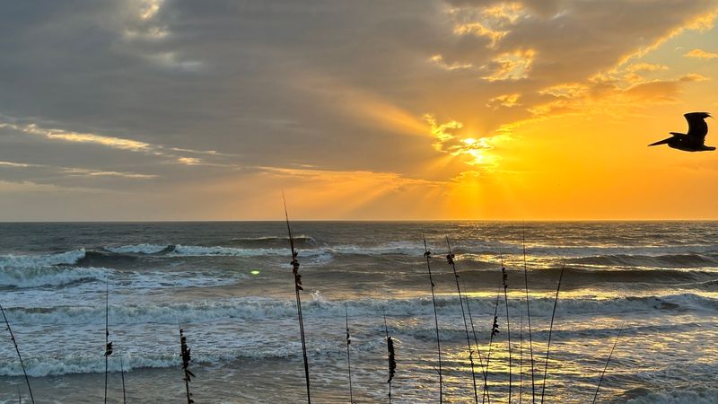 12 Secluded Beach Destinations In Florida That Feel Peaceful And Uncrowded - Decor Hint Gamble Rogers Memorial State