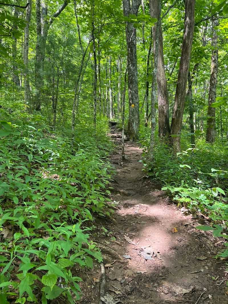 A Manageable 2.2-Mile Loop Suitable For Most Fitness Levels