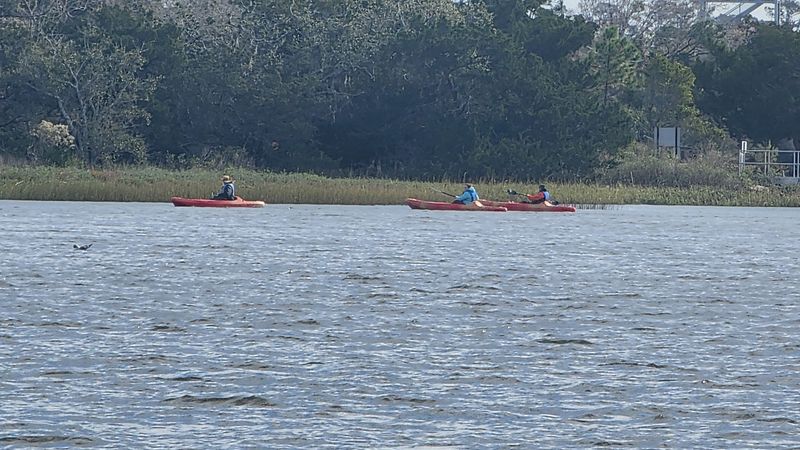 Active Conservation Efforts Worth Supporting