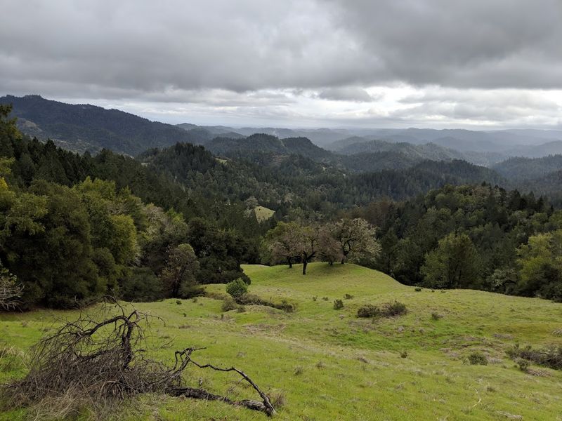 Winter Conditions Bring Cold Temperatures And Heavy Rainfall To The Park
