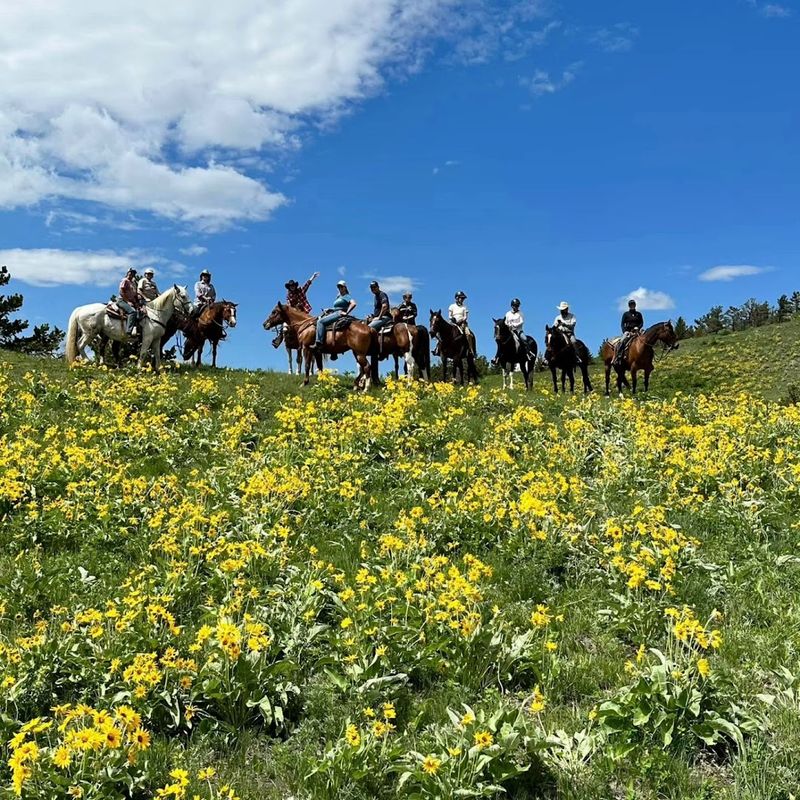 Trail Rides That Feel Like The Real West